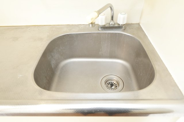 ライオンズマンション東新小岩の洋室