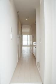 リブリ・テラ 海神の玄関