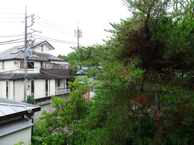 コーポ千代荘の展望