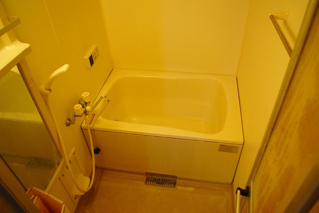 セブン　ピラの浴室