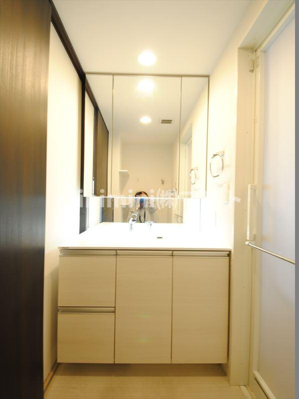 エステムコート谷町四丁目の洗面所