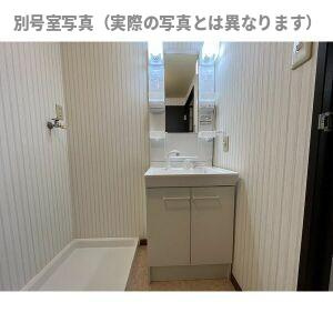 サープラスⅡ牟都志の洗面所