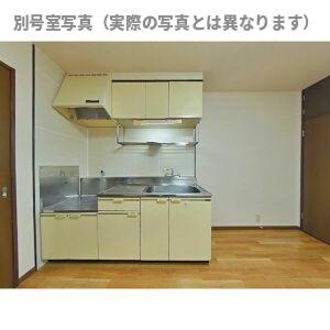 サープラスⅡ牟都志のキッチン