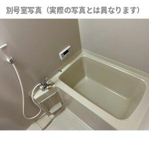 サープラスⅡ牟都志の浴室