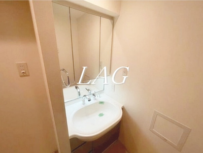 【洗面所】 | 日神デュオステージ板橋 | 独立洗面台です。