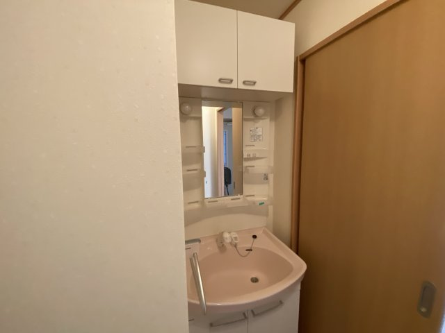 メゾンドソレイユの洗面所