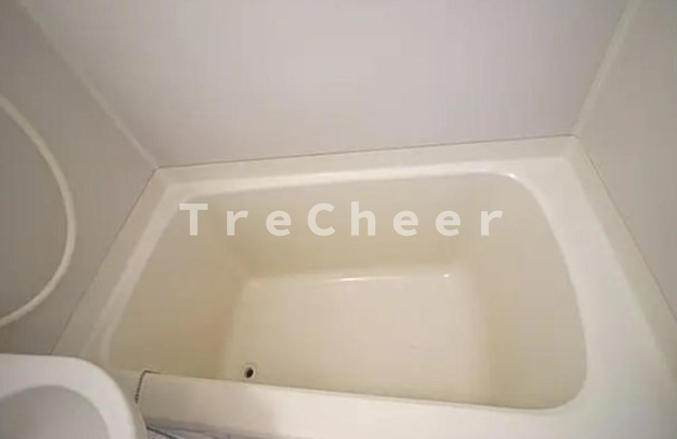 ロイヤルパーシモンの浴室