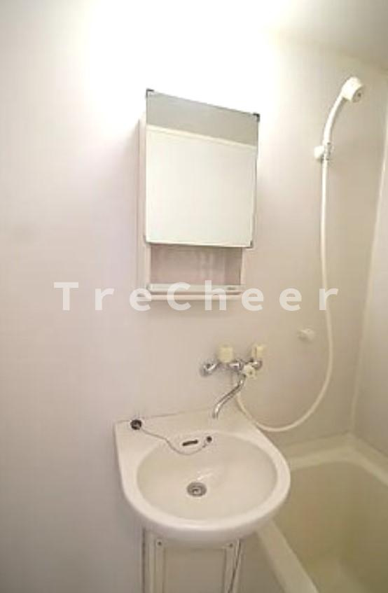 ロイヤルパーシモンの洗面所