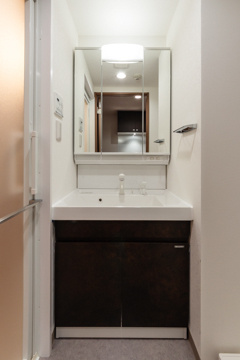 ルミエール浦和仲町の独立洗面台