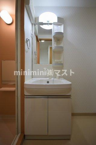 ラ・フォルム梅田northの洗面所