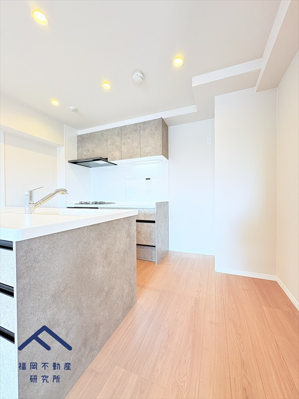 ネクサス香椎1号棟のキッチン