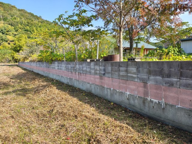 【その他】 | 姫路市的形町的形／売土地 | 【店舗】観葉植物がいっぱいの明るい店舗です♪