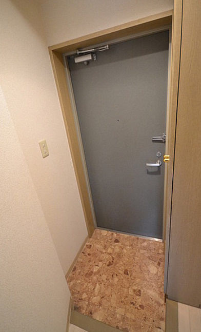 プレール御茶ノ水の玄関|　※別室参考写真です。