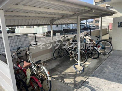 【その他】 | ラヴィドール