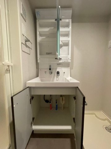 DIPS練馬春日町の洗面所