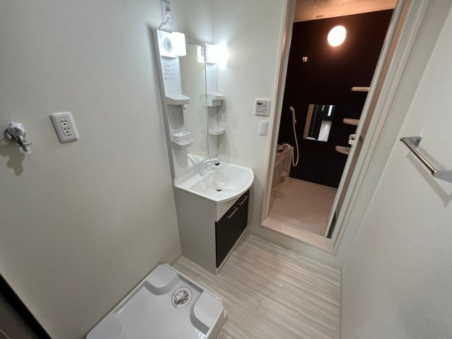 フジパレス弥刀Ⅱ番館の独立洗面台