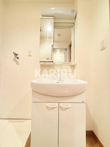 ラシーヌ玉造の洗面所