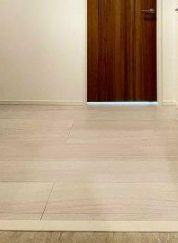 【玄関】 | STAYGOLD EGOTA（ステイゴールドエゴタ） | 玄関☆(同一仕様写真)