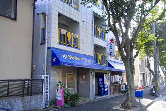 ボシュケ六甲のその他