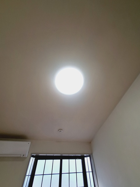 アネックスカオルのその他