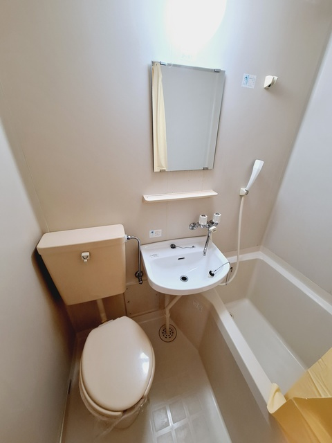 アネックスカオルの洗面所