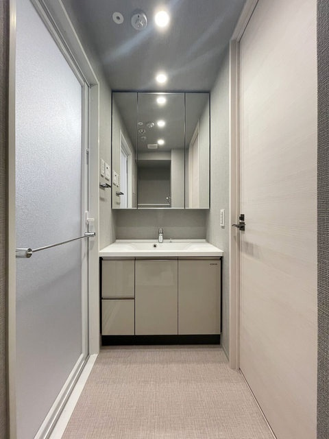 ルフォンプログレ浅草入谷の独立洗面台