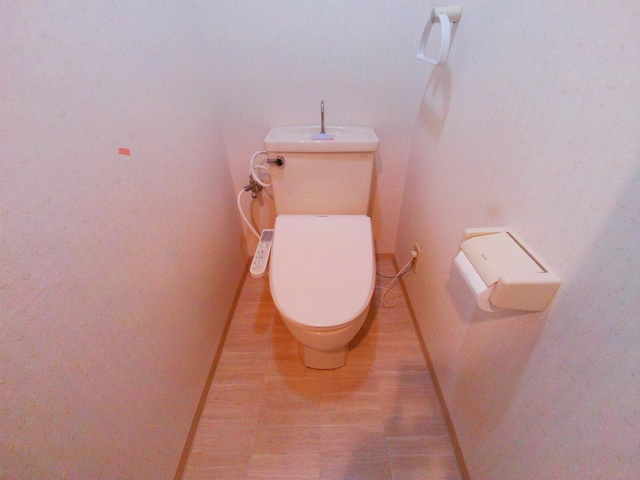 エルネスト甲南山手のトイレ