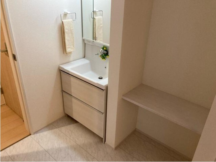 狭山市柏原の新築一戸建の独立洗面台|独立洗面台、朝の身支度には欠かせません