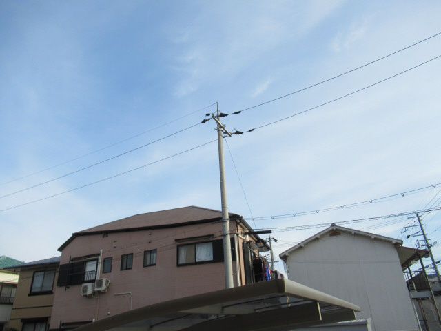 サワーフローラ　A棟の展望