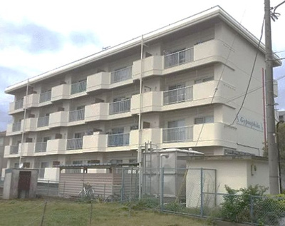 【外観】 | ジフォソフィーラ