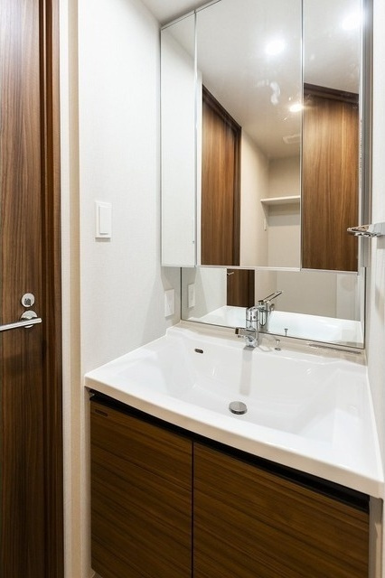 コンフォリア・リヴ根岸二丁目の独立洗面台