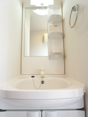 リブリ・Smileの洗面所|スペースが確保できる洗面所です