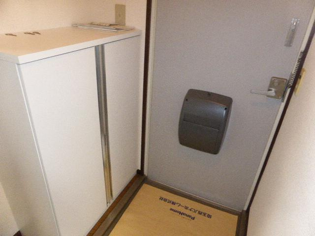 パナサンビューハイツ　Ｂ棟の玄関|きれいな玄関です