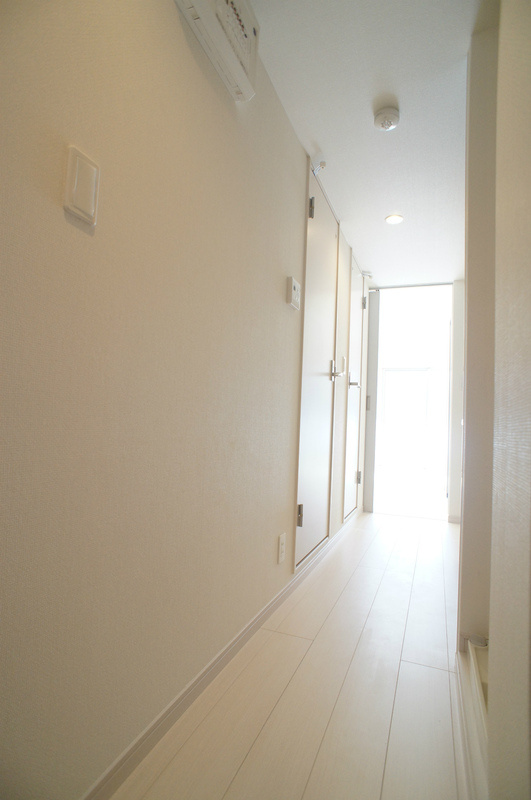 リブリ・フェリーチェメンテのその他