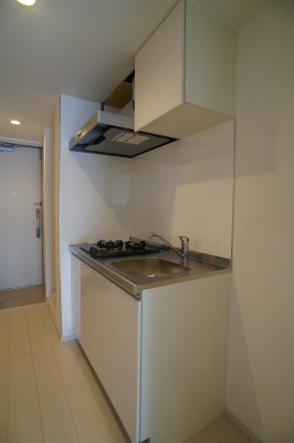 リブリ・ヴァン・リヴェールのキッチン|使いやすいキッチンです