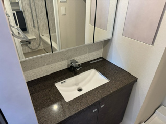 【洗面所】 | ザ・パークハビオ荏原中延駅前 | 別部屋参考写真