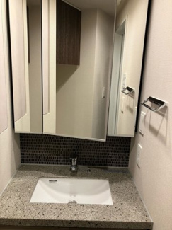 【洗面所】 | ザ・パークハビオ荏原中延駅前