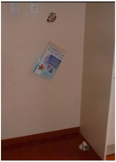 ライフピアモナークのその他|室内洗濯機置き場☆