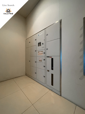 【その他】 | リングローブ