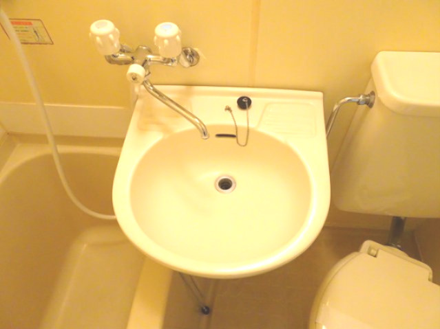 メゾンドNSKの洗面所