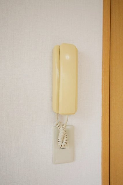 レッドフラッツ成城のセキュリティ