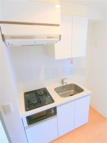 Vetlo(ヴェトロのキッチン|2口ガスグリル付システムキッチン