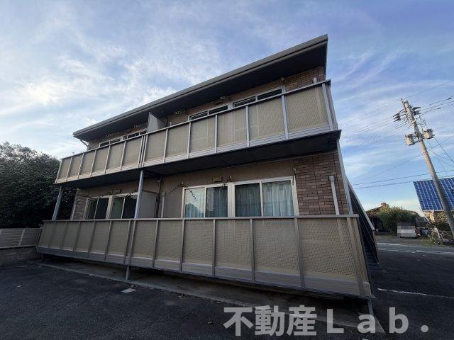 カトレアコート