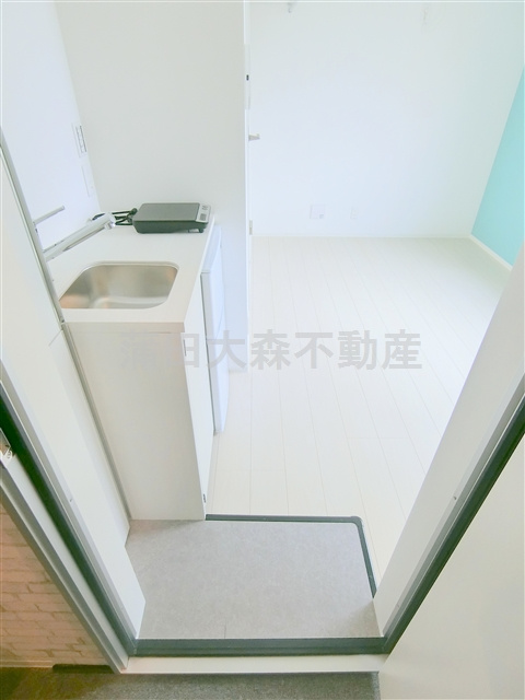 BoaSorte大森西（ボアソルテの玄関|玄関　シューズボックス