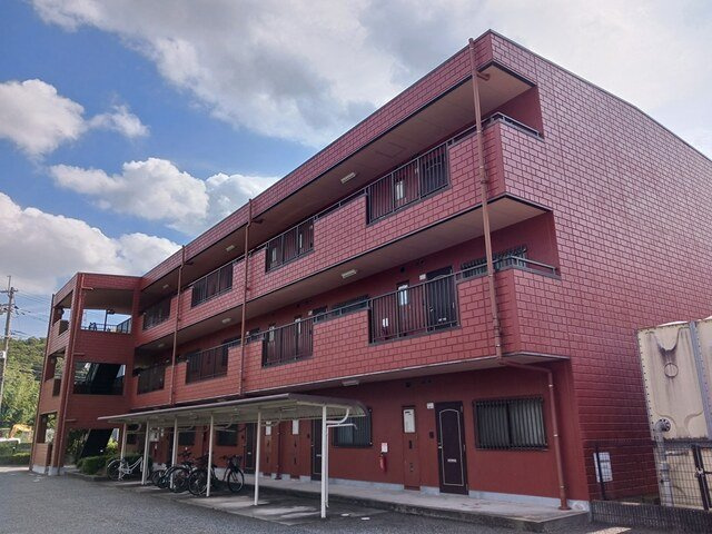 リッツジュンのその他