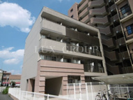 コロレグレースの画像