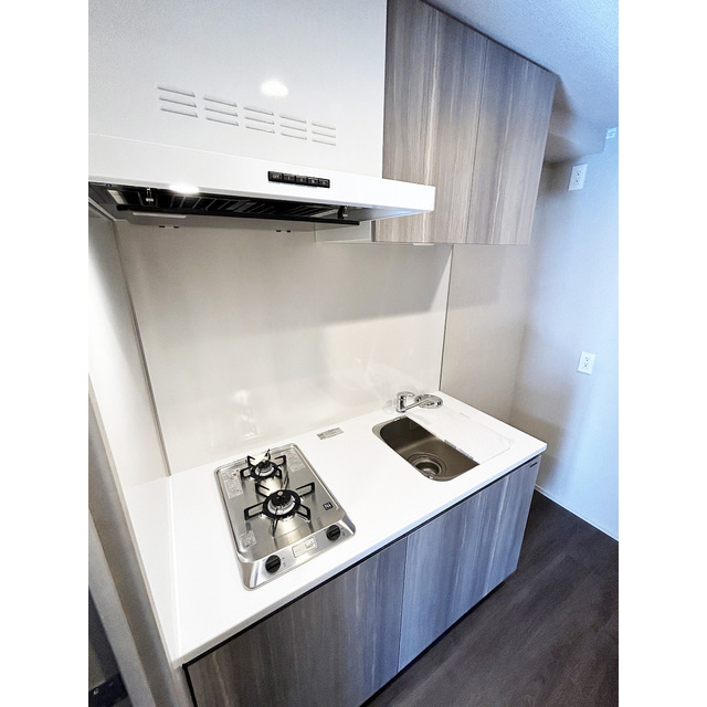 ブランシエスタ浅草雷門の内装|明るい色調の室内です