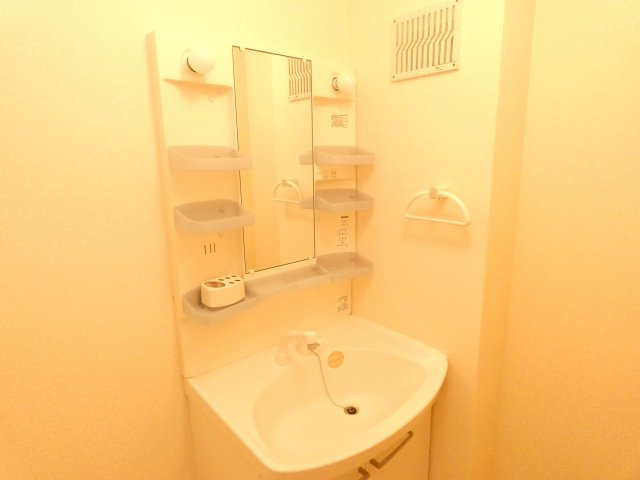 サワーフローラA棟の洗面所|サワーフローラ