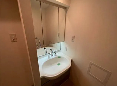 【独立洗面台】 | 日神デュオステージ板橋