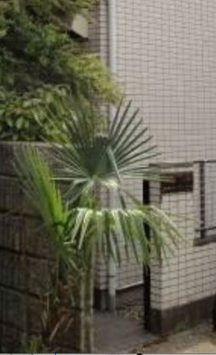 【エントランス】 | スペース目白